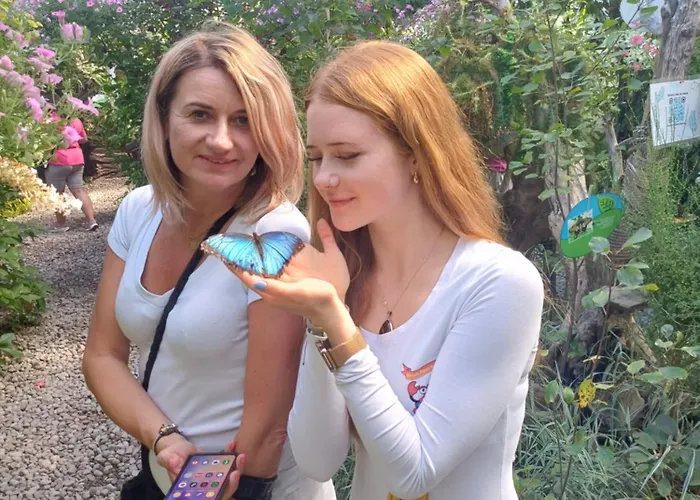 Osada Pana Kraba キャンプ場 ヤロスワビエツ